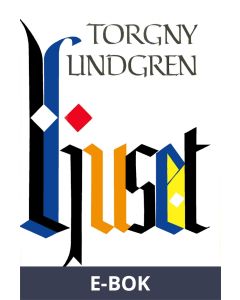 Ljuset, E-bok