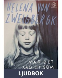 Vad det såg ut som , Ljudbok