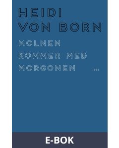 Molnen kommer med morgonen, E-bok