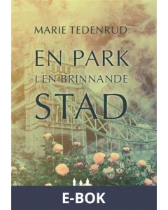 En park i en brinnande stad, E-bok