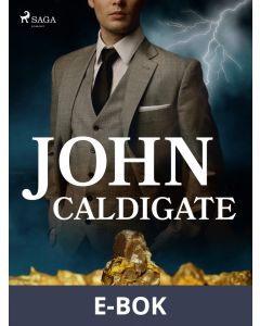 John Caldigate, E-bok