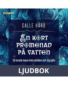 En kort promenad på vatten, Ljudbok