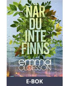 När du inte finns, E-bok