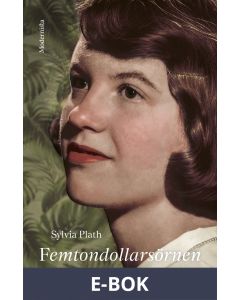 Femtondollarsörnen, E-bok