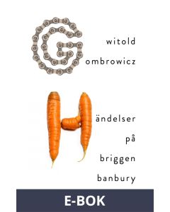 Händelser på briggen Banbury, E-bok