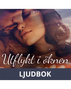 Utflykt i öknen - erotisk novell, Ljudbok