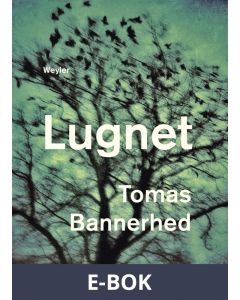 Lugnet, E-bok