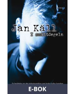 I smältdegeln, E-bok