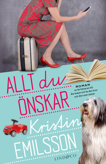 Allt Du Önskar
