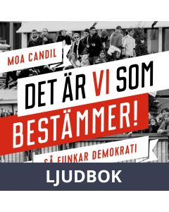 Det är vi som bestämmer! - Så funkar demokrati. Nivå 3 (lättläst), Ljudbok