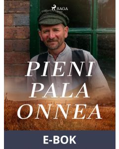 Pieni pala onnea, E-bok