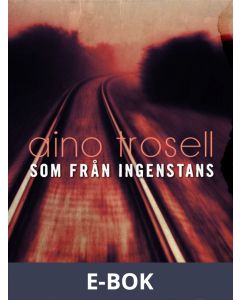 Som från ingenstans, E-bok