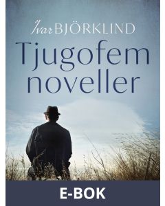 Tjugofem noveller, E-bok