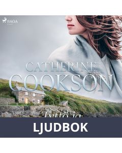 Tyttö ja kartanonherra, Ljudbok