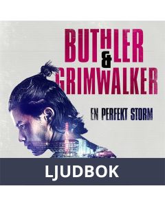 En perfekt storm, Ljudbok