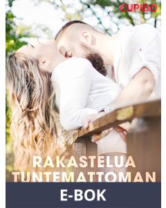 Rakastelua tuntemattoman kanssa, E-bok