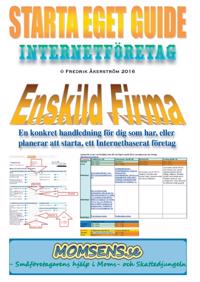 Starta Eget Guide : Internetföretag