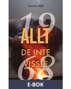 Allt de inte visste, E-bok