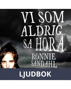 Vi som aldrig sa hora, Ljudbok