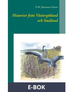 Historier från Västergötland och Småland, E-bok