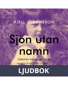 Sjön utan namn, Ljudbok