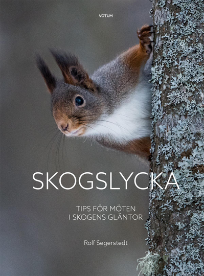 Skogslycka - Tips För Möten I Skogens Gläntor