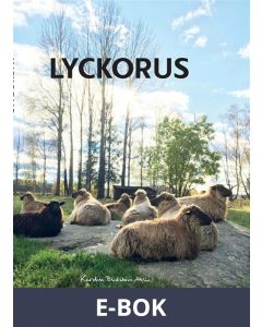 Lyckorus, E-bok
