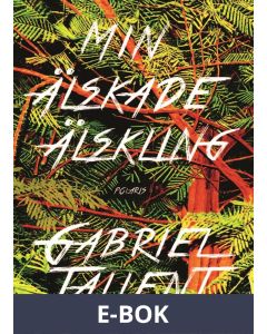 Min älskade älskling, E-bok