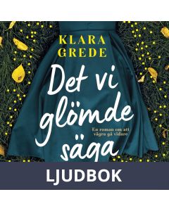 Det vi glömde säga, Ljudbok