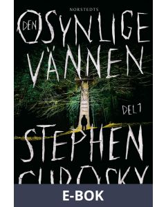 Den osynlige vännen 1, E-bok