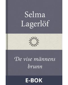 De vise männens brunn, E-bok