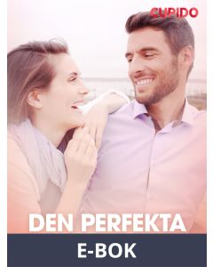 Den perfekta gentlemannen - erotisk novell, E-bok