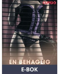 En behaglig överraskning - erotiska noveller, E-bok