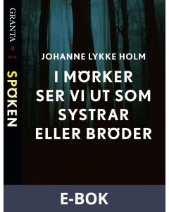 I mörker ser vi ut som systrar eller bröder: en e-singel ur Granta #4, E-bok