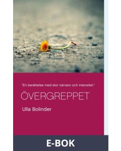 Övergreppet, E-bok