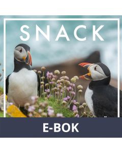 SNACK : Konversationskort för dig som gillar att prata (Epub2), E-bok