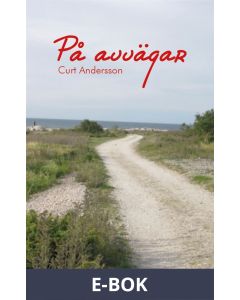 På avvägar, E-bok
