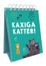 Kaxiga katter