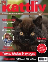 Tidningen Kattliv 6 nummer