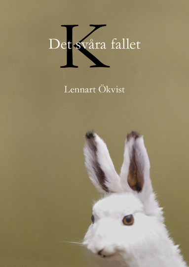 Det Svåra Fallet K