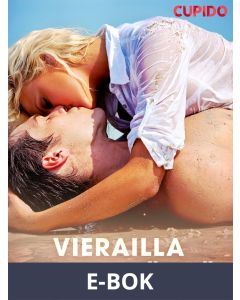 Vierailla vaahtopäillä, E-bok