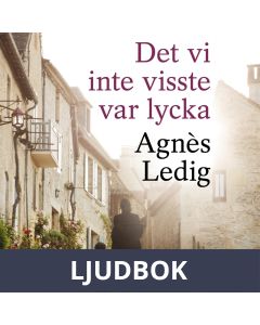 Det vi inte visste var lycka, Ljudbok