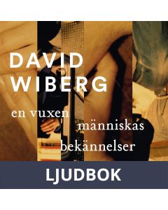 En vuxen människas bekännelser, Ljudbok