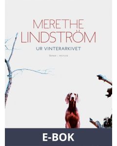 Ur vinterarkivet, E-bok