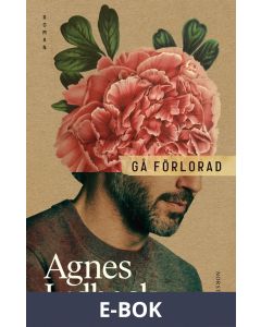 Gå förlorad, E-bok
