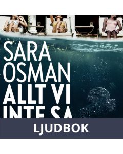 Allt vi inte sa, Ljudbok