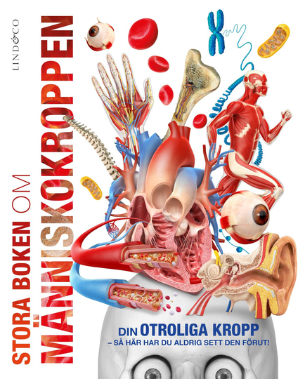 Stora Boken Om Människokroppen