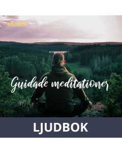 Insikt om lycka, Ljudbok