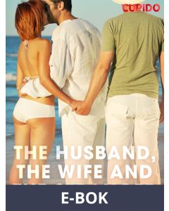 The Husband, the Wife and the Stranger, E-bok
