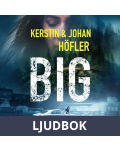 Big, Ljudbok